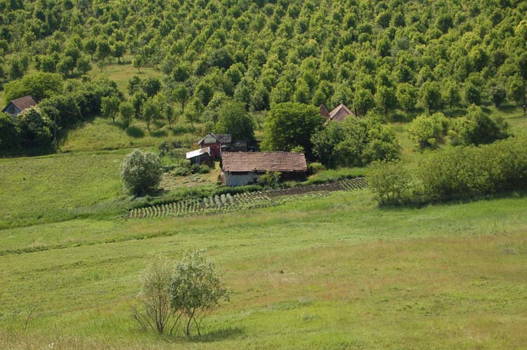 07-Village
